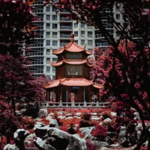 Red Coral (Moonga)