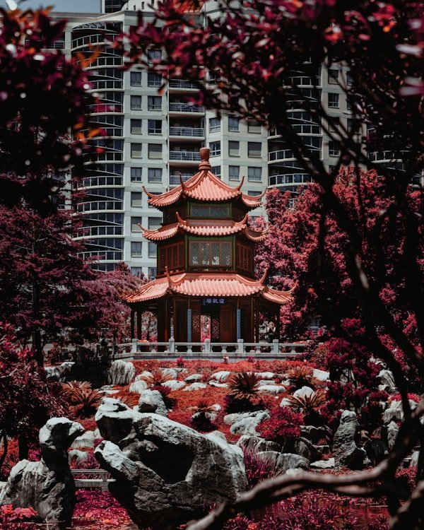 Red Coral (Moonga)